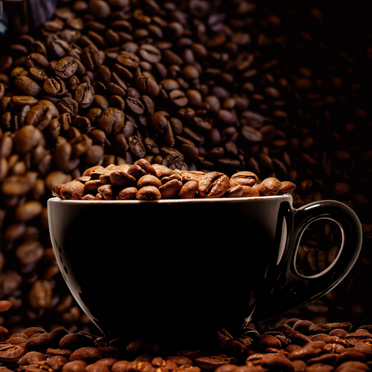 Café Solidario Madness