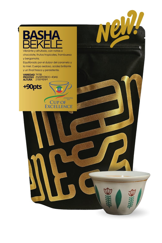 BASHA BEKELE - CUP OF EXCELLENCE 2024 - ETIOPÍA